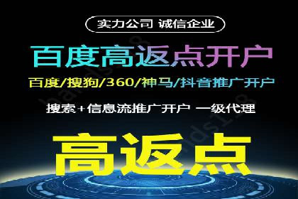 百度SEM推广策略：成功案例解析